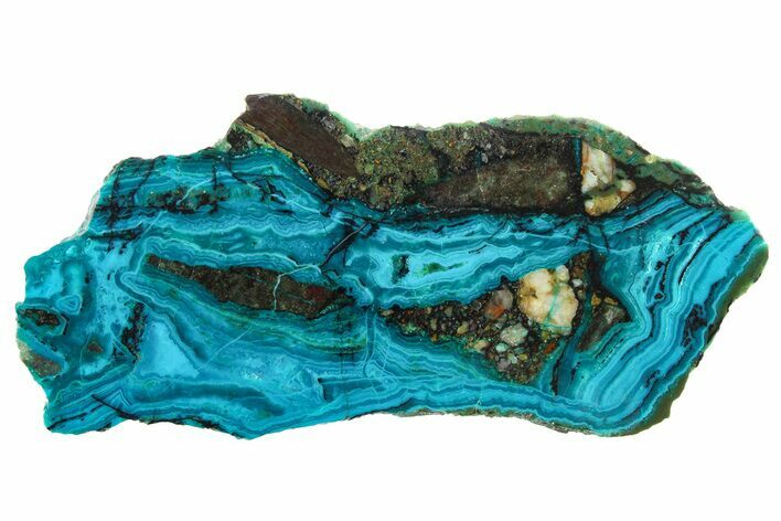 Polished Banded Chrysocolla Section - Bagdad Mine, Arizona #298413